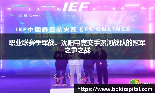 k1体育