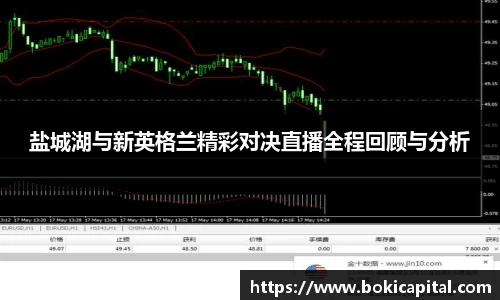 盐城湖与新英格兰精彩对决直播全程回顾与分析